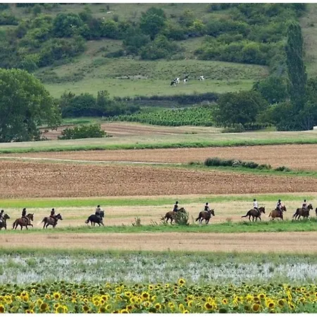Dom wakacyjny De La Sagne